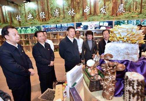 點(diǎn)擊進(jìn)入下一頁(yè)